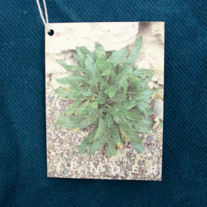 tenderco1701-0002-20