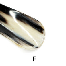 abbeyhorn1602-0054-99