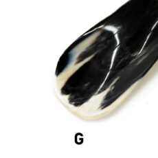 abbeyhorn1602-0054-99