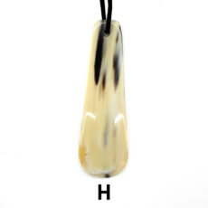 abbeyhorn1602-0054-99