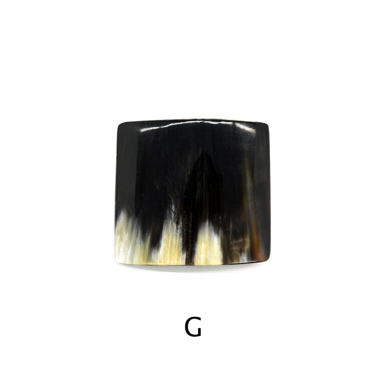 kostkamm2001-0149-99