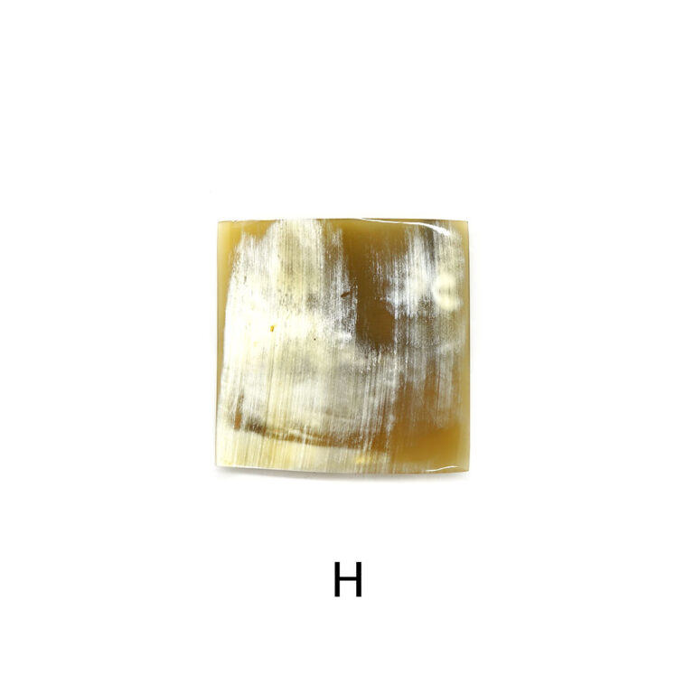 kostkamm2001-0149-99