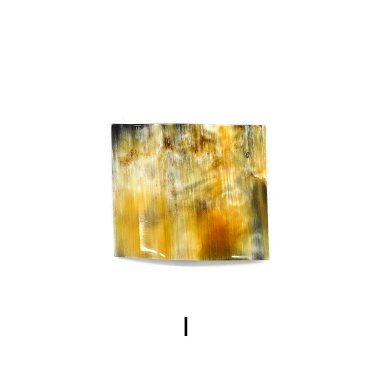 kostkamm2001-0149-99